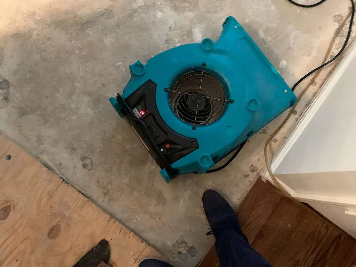 Air mover drying subfloor during Commercial Water Damage Restoration in St. Simons